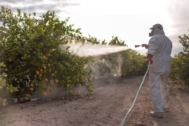 Best Local Pest Control Services  in Mart, TX