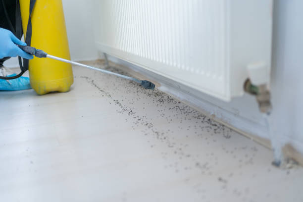 Best Pest Prevention Services  in Mart, TX